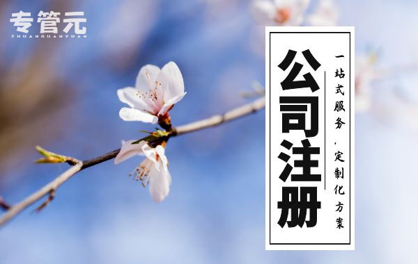 佛山公司注册 佛山公司注册