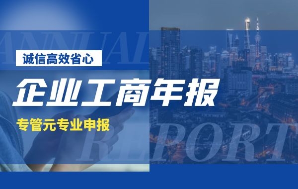 工商年报